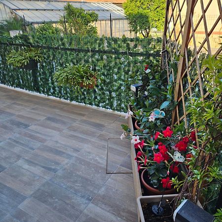 Apartamento La Casa Di Marty , Codice Citra 008059-Lt-0275 Arma di Taggia Exterior foto